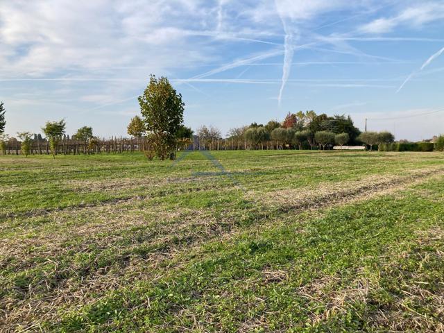 Property Featured Image